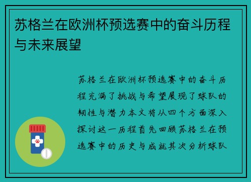 苏格兰在欧洲杯预选赛中的奋斗历程与未来展望
