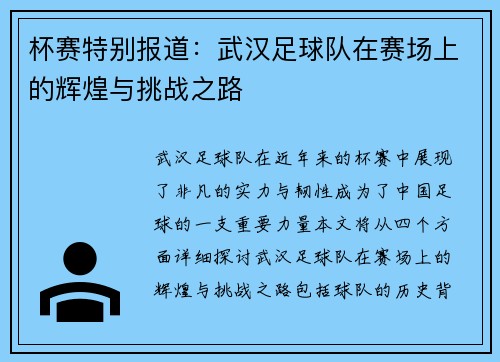 杯赛特别报道：武汉足球队在赛场上的辉煌与挑战之路