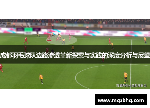 成都羽毛球队边路渗透革新探索与实践的深度分析与展望